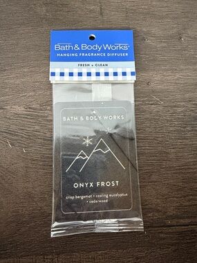Bath & Body Works Onyx Frost Hanging Fragrance Diffuser